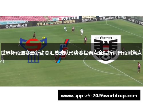 世界杯预选赛最新动态汇总球队形势赛程看点全解析前景预测焦点