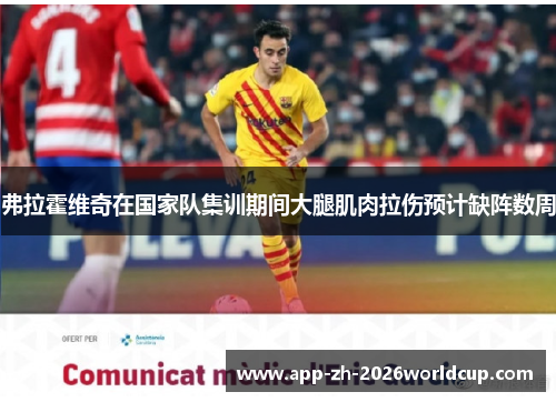 弗拉霍维奇在国家队集训期间大腿肌肉拉伤预计缺阵数周