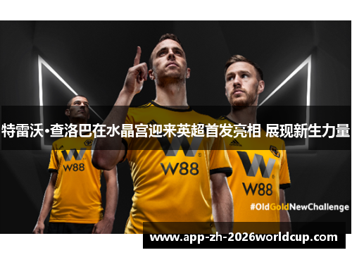 特雷沃·查洛巴在水晶宫迎来英超首发亮相 展现新生力量